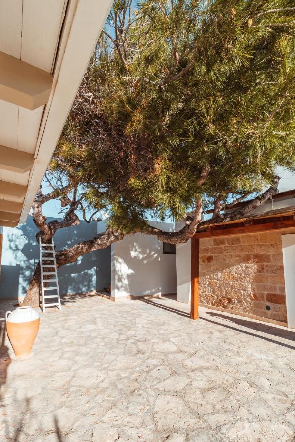 Echi Di Puglia Marsento Acomodação com café da manhã Polignano a Mare Exterior foto