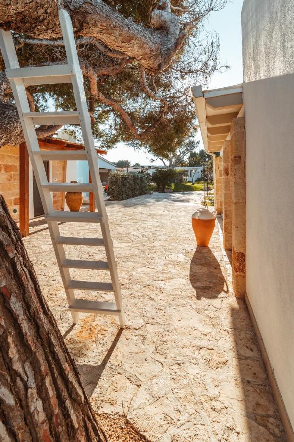 Echi Di Puglia Marsento Acomodação com café da manhã Polignano a Mare Exterior foto